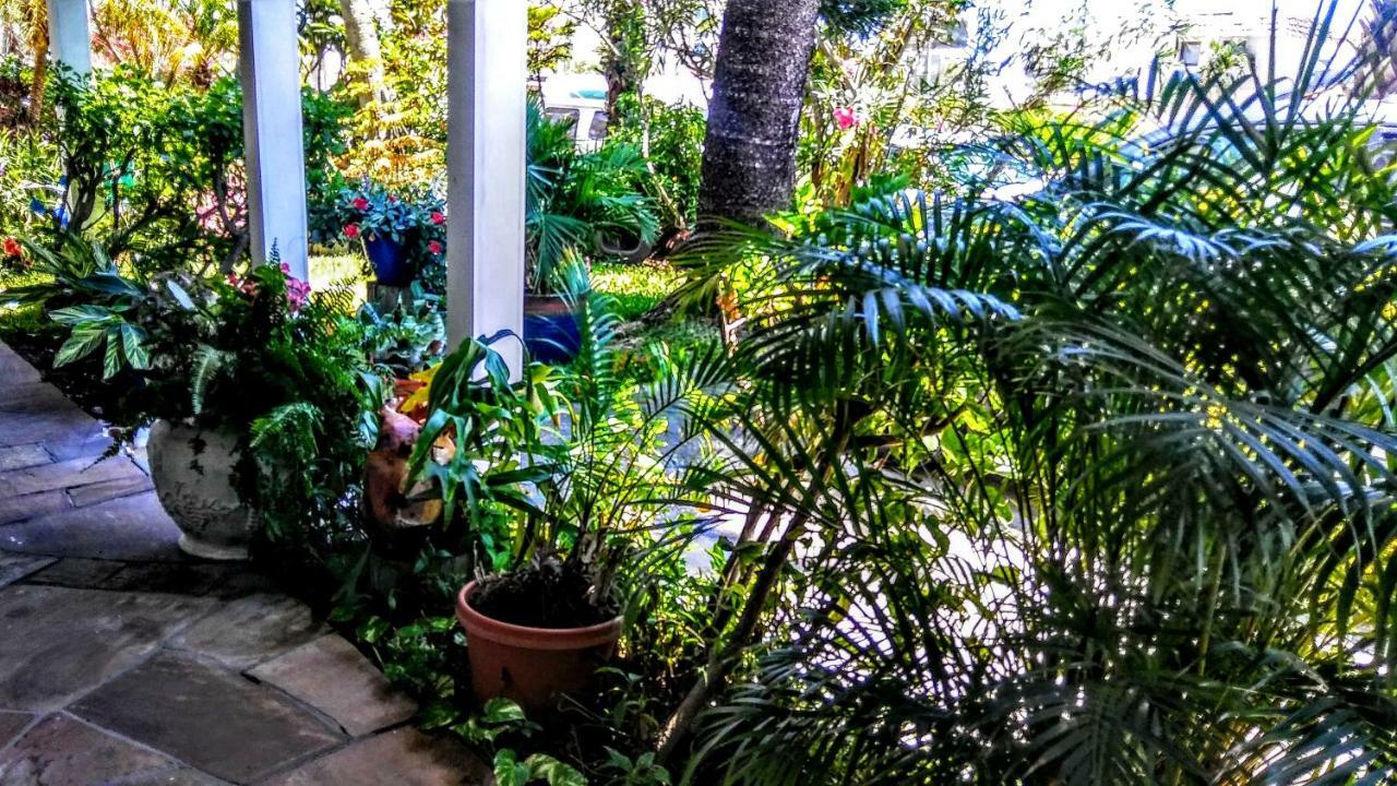 Boca Ciega Bay Apartment Сант Пит Бич Экстерьер фото